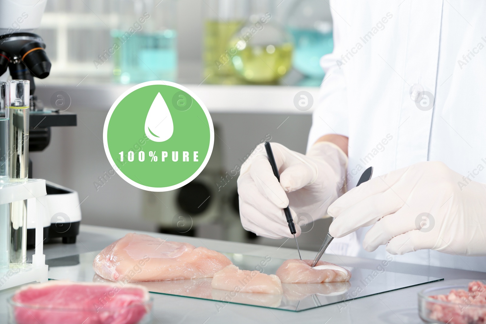 Image of Scientist inspecting meat sample in laboratory, closeup. Food quality control