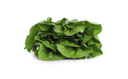 Photo of Fresh green romaine lettuce isolated on white