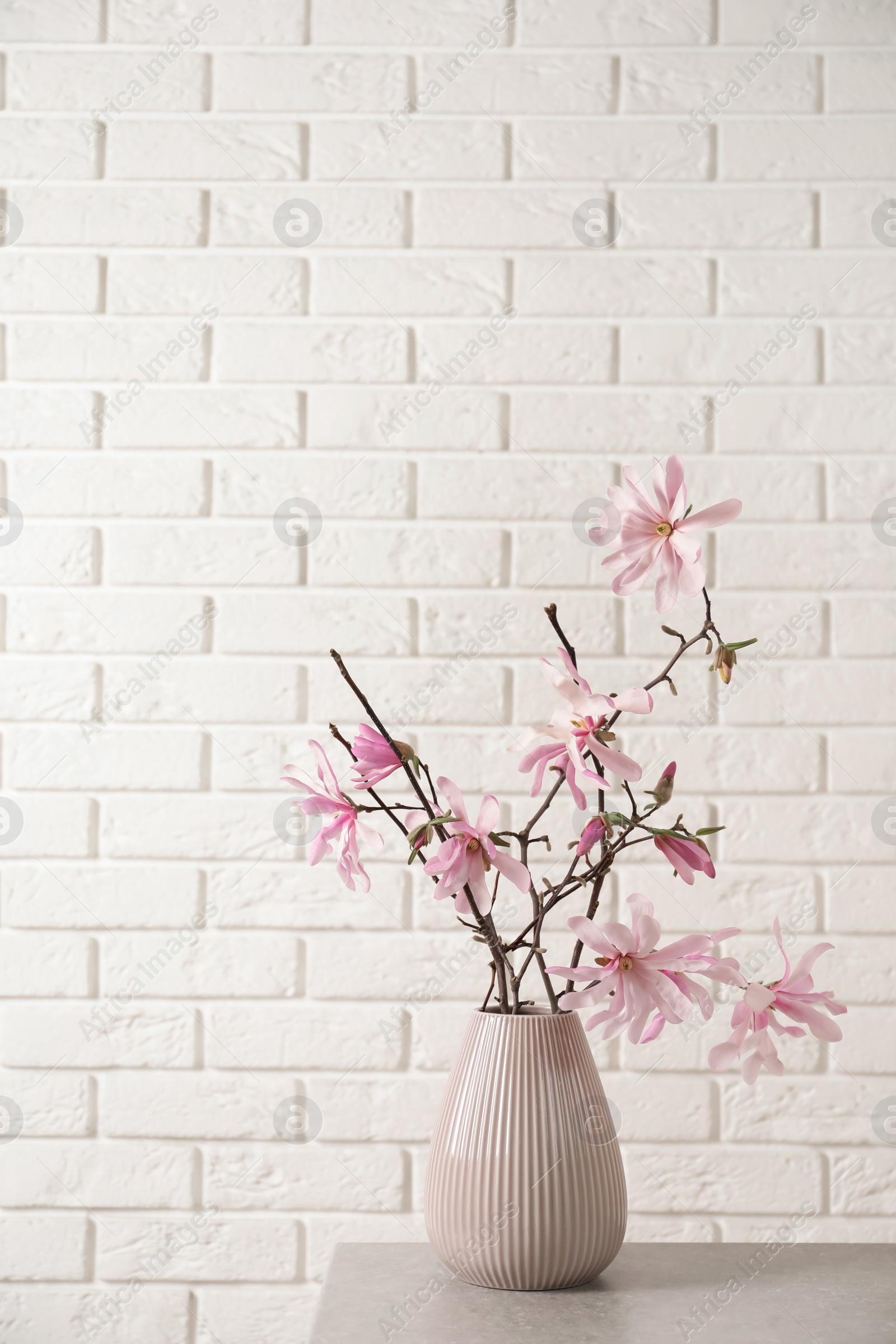 Photo of Magnolia tree branches with beautiful flowers in vase on grey table against white brick wall