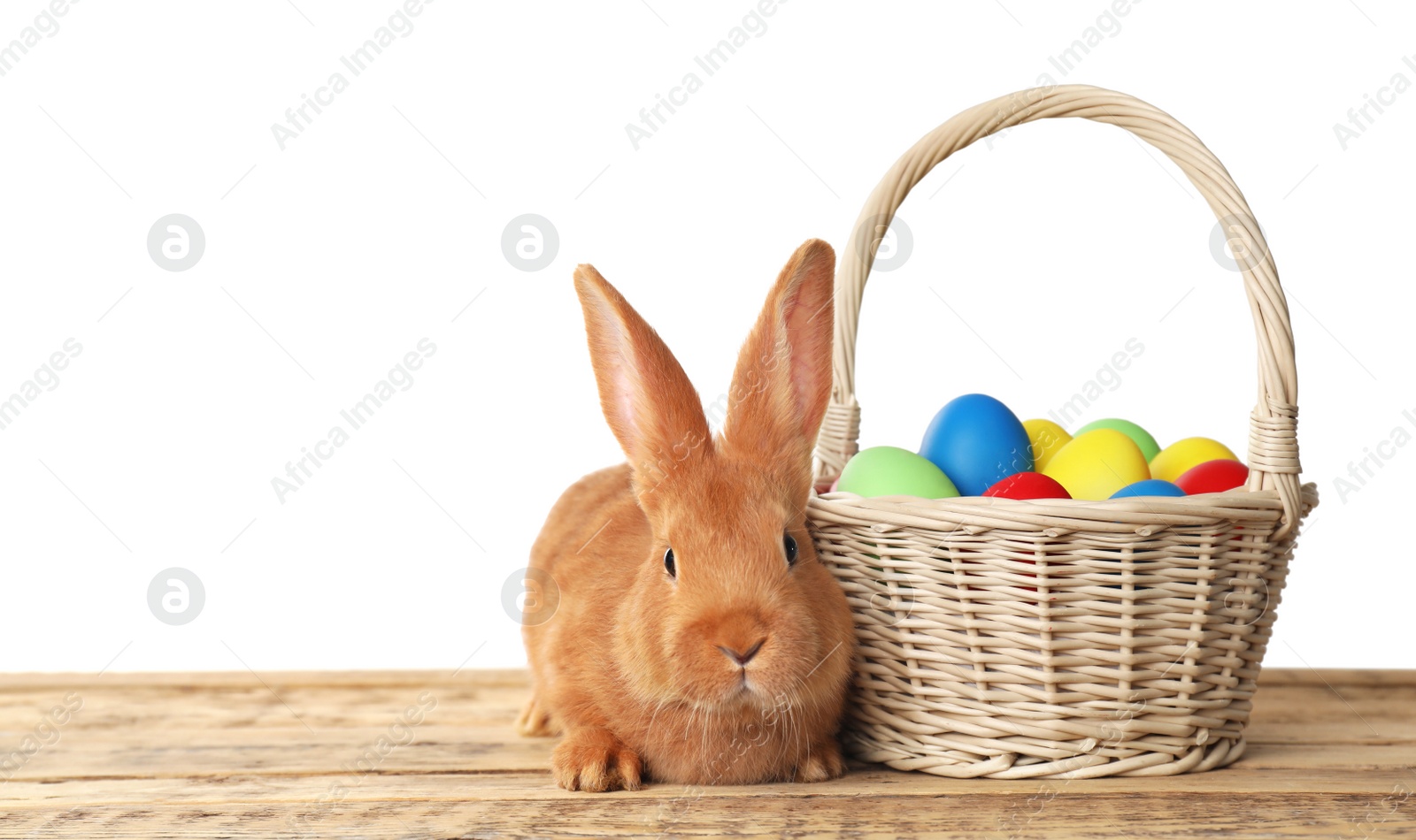 Photo of Adorable furry Easter bunny near wicker basket with dyed eggs on wooden table against white background