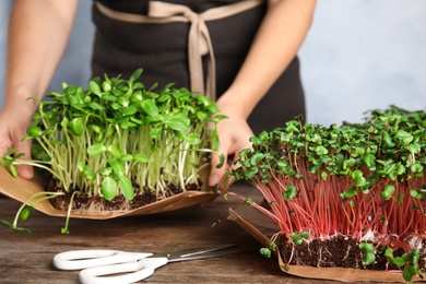 Woman holding fresh microgreen over wooden table, closeup