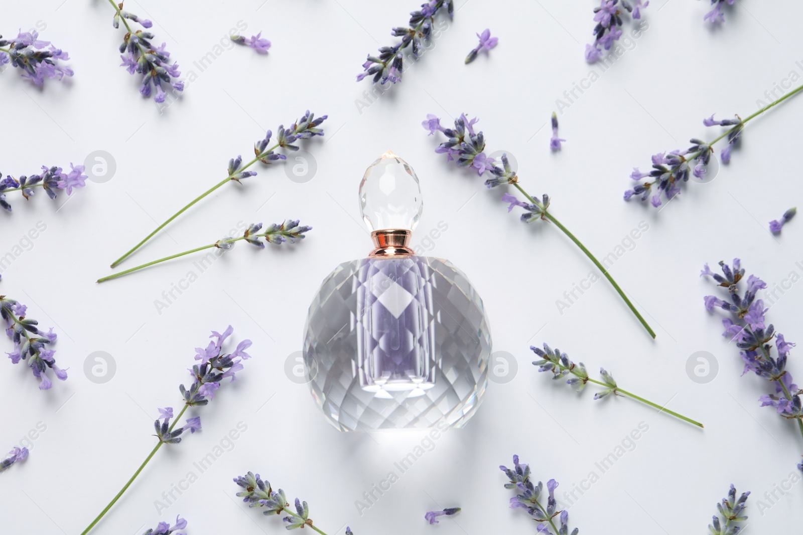 Photo of Bottle of natural perfume and lavender flowers on white background, top view. Cosmetic product