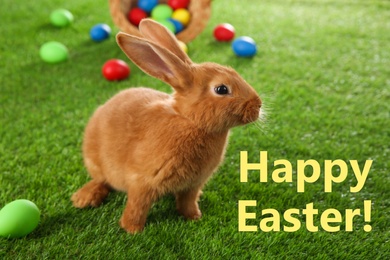 Image of Happy Easter! Cute bunny and dyed eggs on green grass