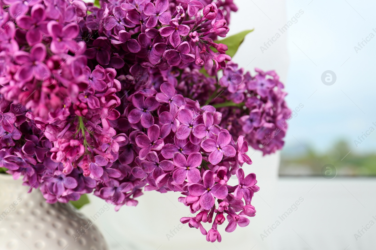 Photo of Closeup view of beautiful lilac flowers in vase on blurred background