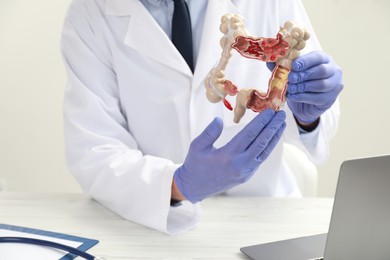Doctor with model of large intestine at white wooden table, closeup