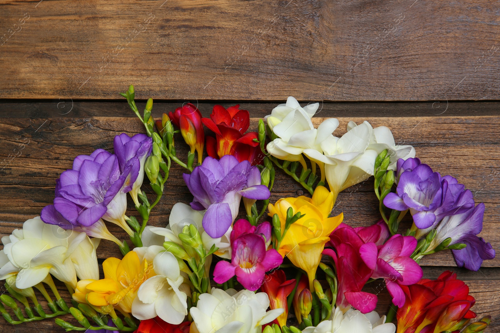 Photo of Beautiful freesia flowers on wooden background