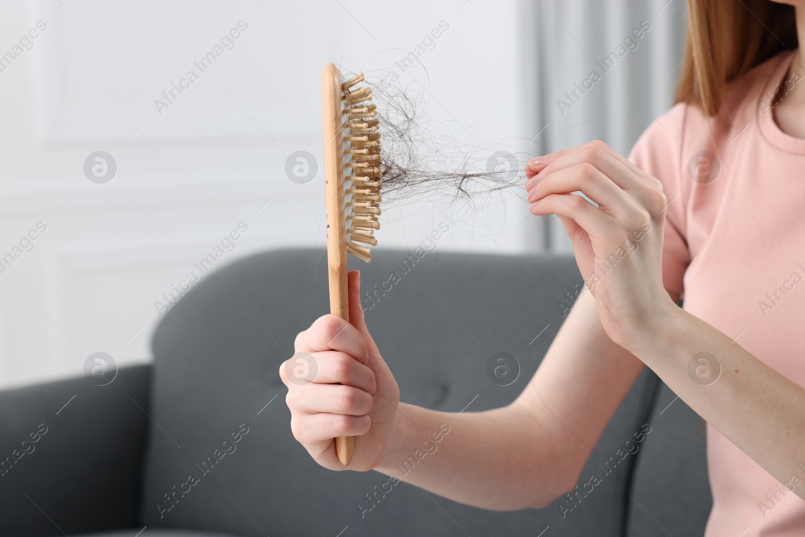 Photo of Woman untangling her lost hair from brush indoors, closeup. Alopecia problem