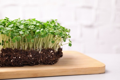 Photo of Fresh organic microgreen on white table, closeup