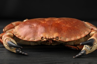 Photo of Delicious boiled crab on black wooden table, closeup