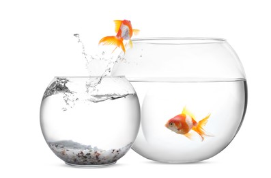 Image of Goldfish jumping from glass fish bowl into bigger one on white background