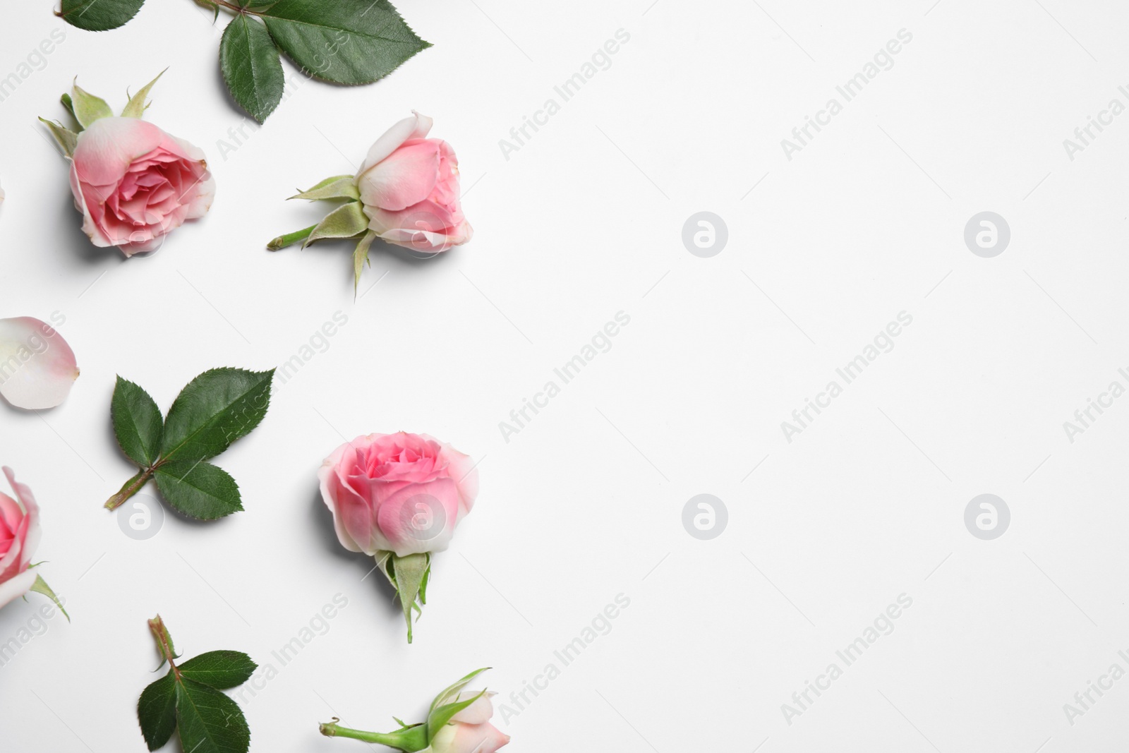 Photo of Composition with beautiful flowers on white background, top view. Floral card design