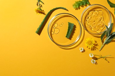 Flat lay composition with Petri dishes and plants on yellow background. Space for text