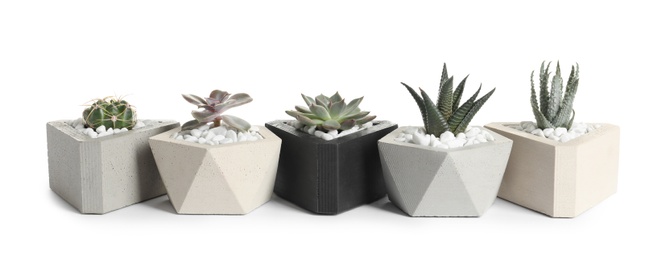 Beautiful succulent plants in stylish flowerpots on white background. Home decor