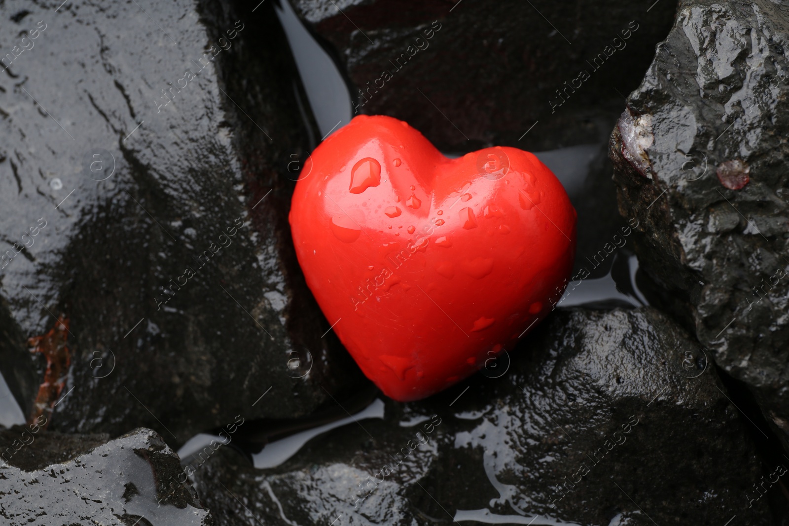 Photo of Red decorative heart on stones and water, top view