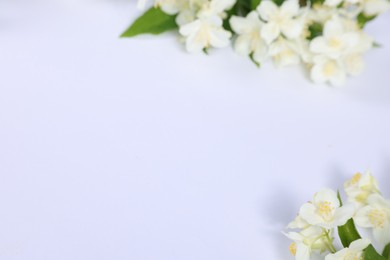 Beautiful jasmine flowers on white background, closeup. Space for text