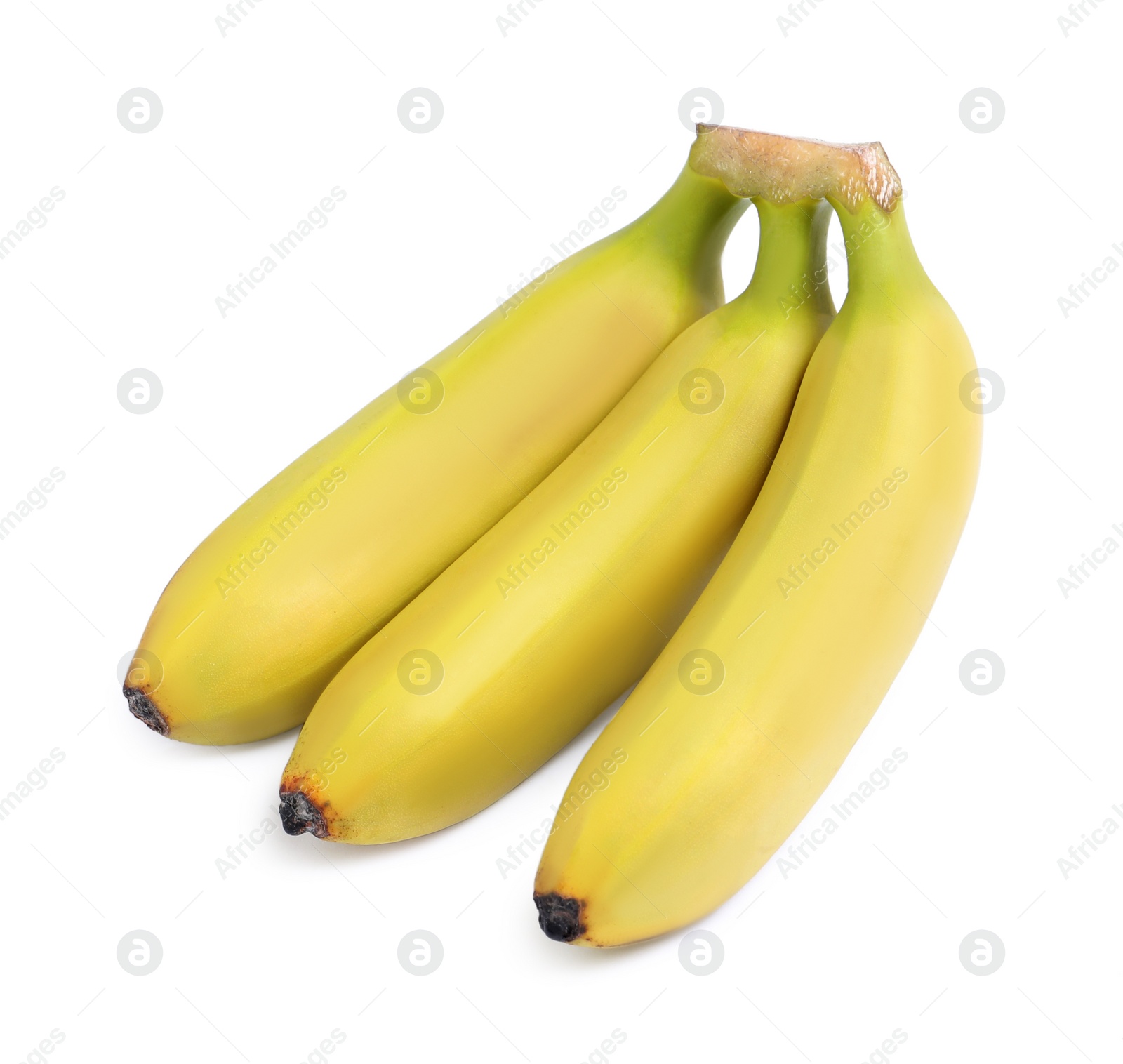 Photo of Cluster of ripe baby bananas on white background