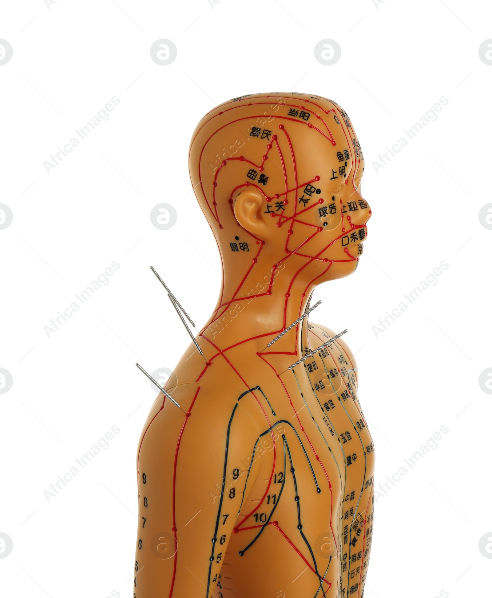 Photo of Acupuncture - alternative medicine. Human model with needles in shoulder isolated on white