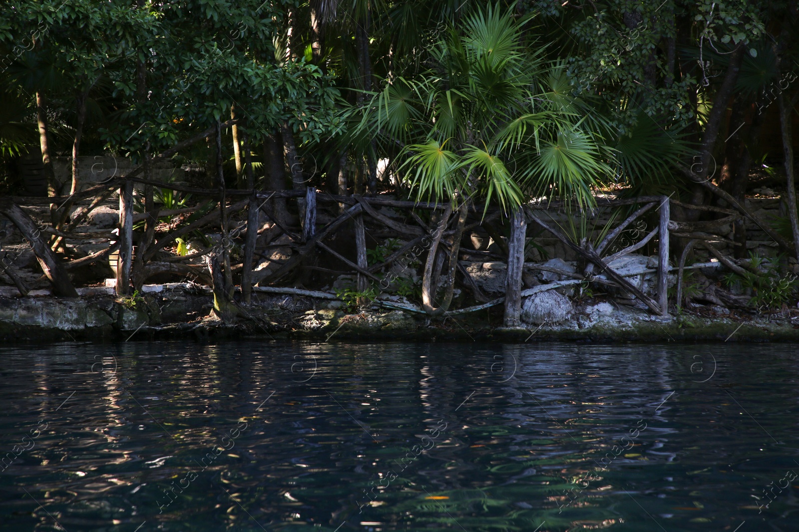 Photo of Picturesque view of beautiful lake in jungle