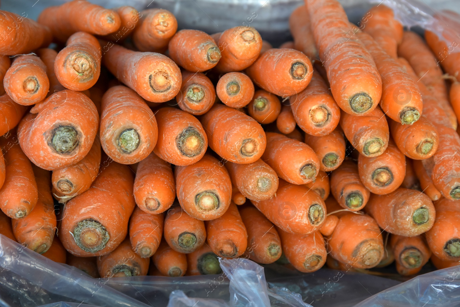 Photo of Pile of fresh ripe carrots in polyethylene, closeup