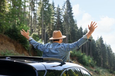 Photo of Enjoying trip. Man leaning out of car roof outdoors, back view
