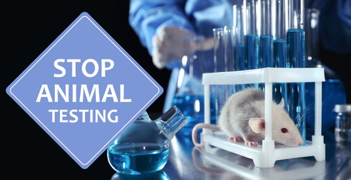 Image of STOP ANIMAL TESTING. Rat on table in chemical laboratory