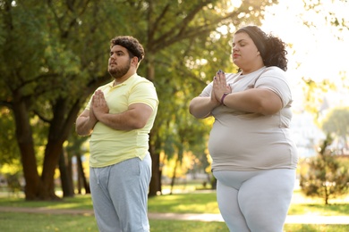 Overweight couple training together in park on sunny day