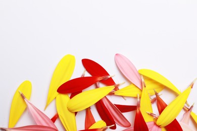 Pile of beautiful petals on white background, top view