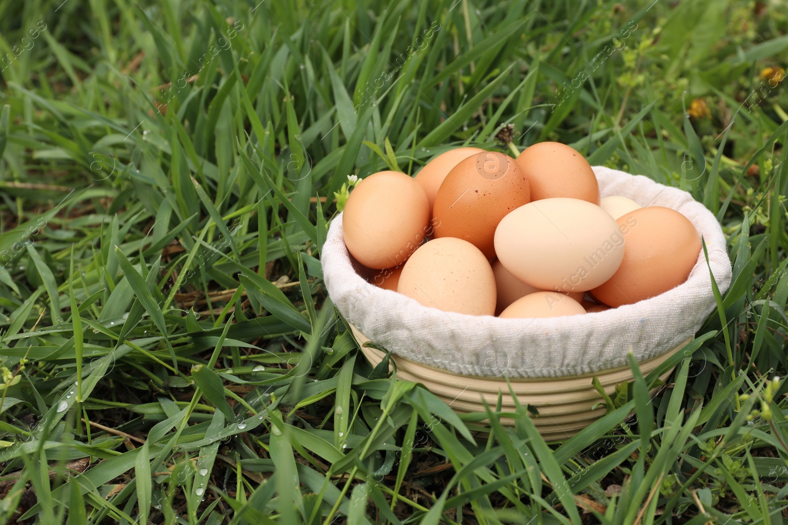 Photo of Fresh chicken eggs in basket on green grass outdoors, space for text
