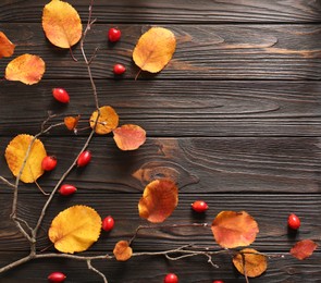 Photo of Tree branch with yellowed leaves and rosehip berries on wooden table, flat lay. Space for text