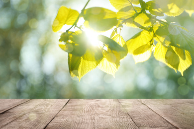 Image of Wooden table and tree branch with green leaves on sunny day. Springtime