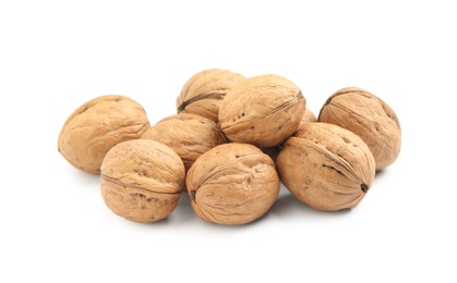 Whole walnuts in shell on white background