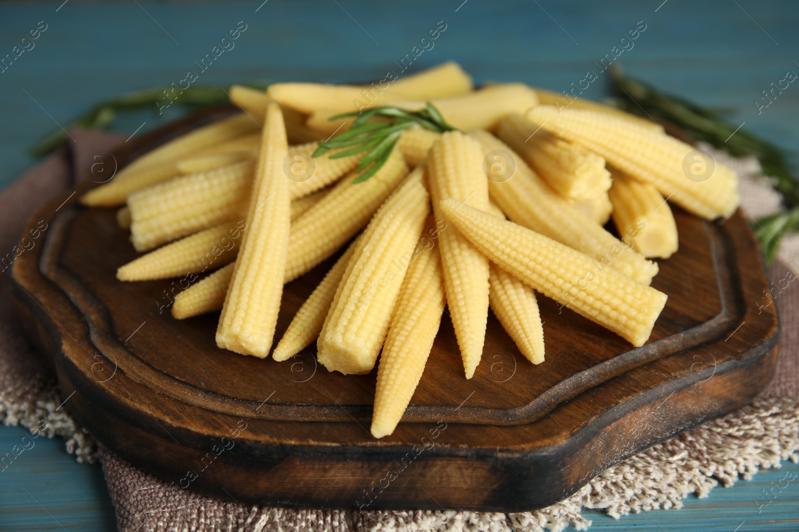 Photo of Fresh baby corn cobs on blue wooden table