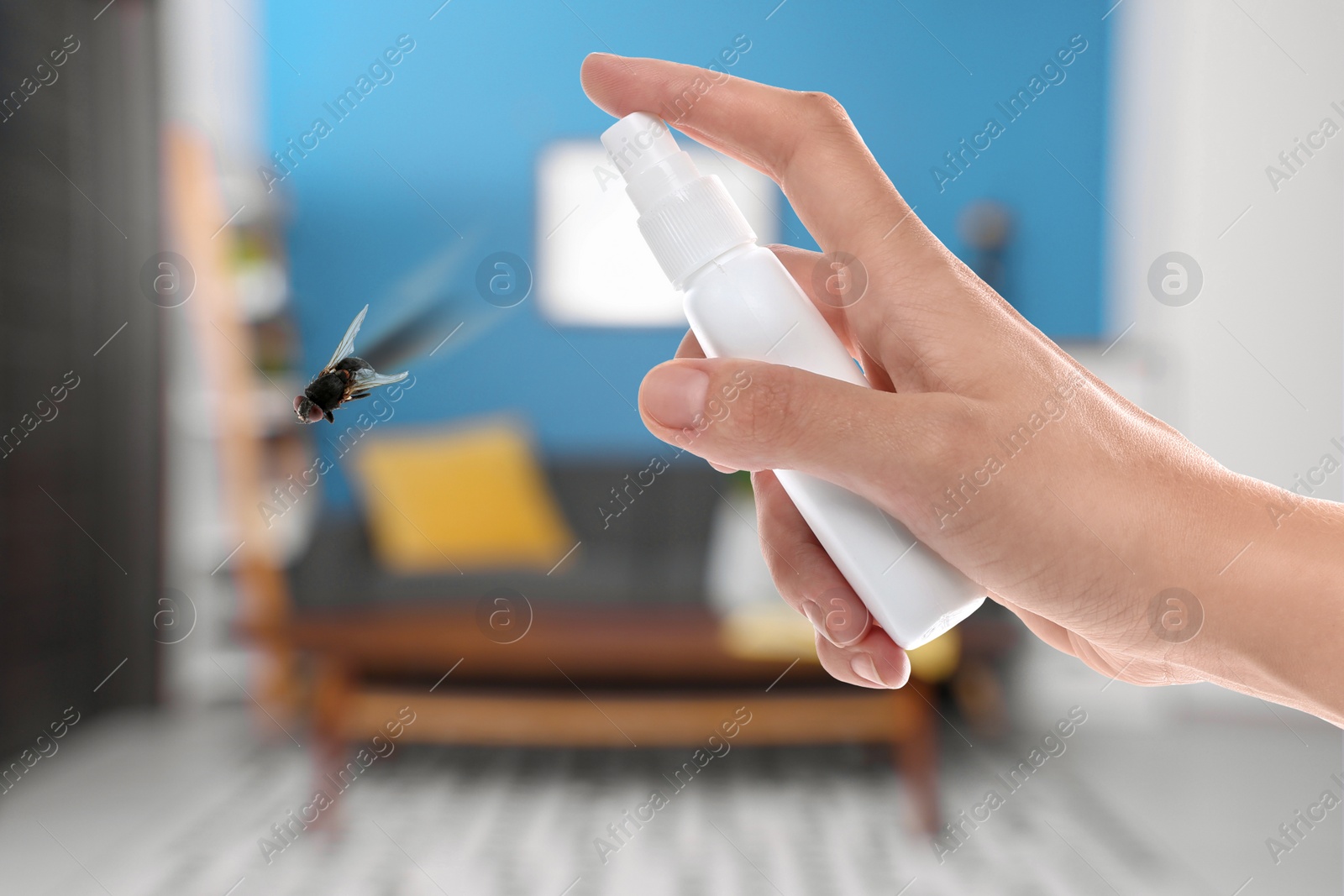 Image of Woman using fly spray in room, closeup