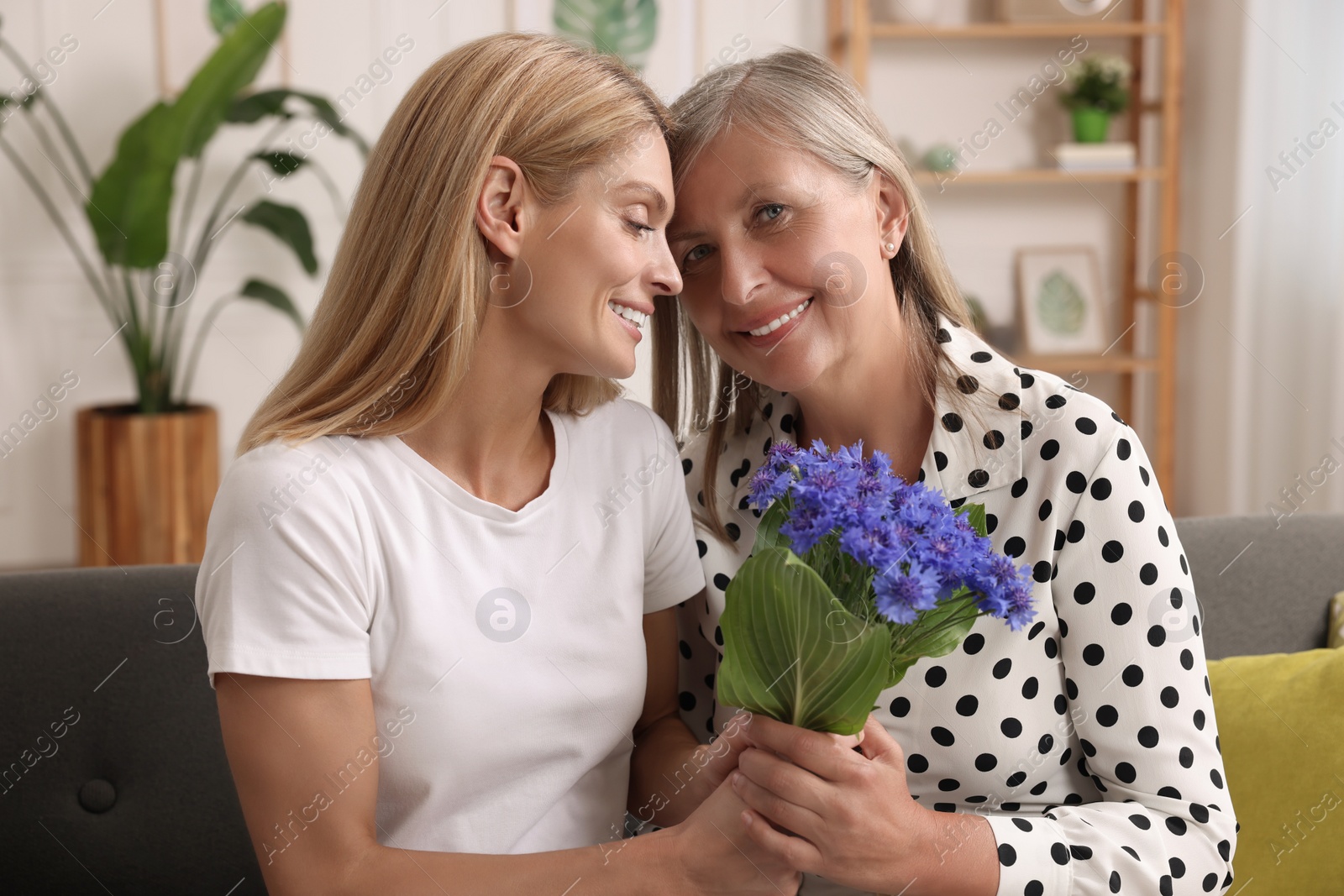 Photo of Happy mature mother and her daughter with beautiful cornflowers at home