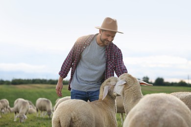 Photo of Smiling man with sheep on pasture at farm