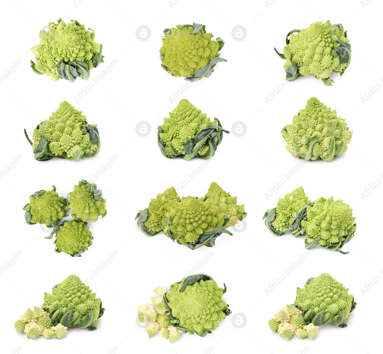 Image of Set with fresh Romanesco broccoli on white background