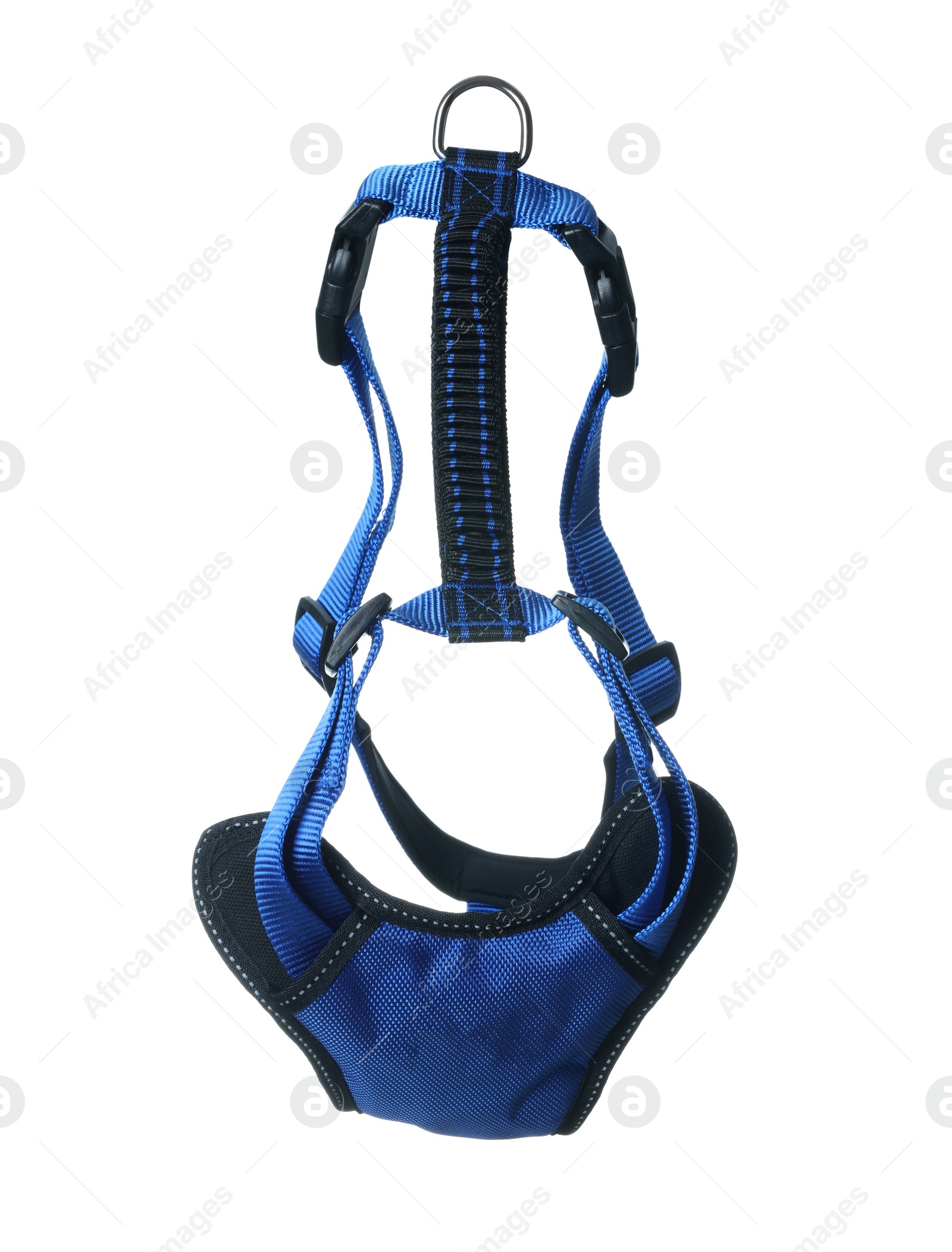 Photo of Blue dog harness isolated on white. Pet accessory