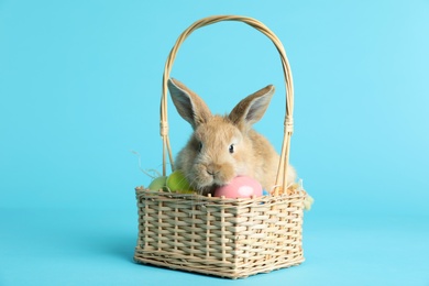 Adorable furry Easter bunny in wicker basket with dyed eggs on color background