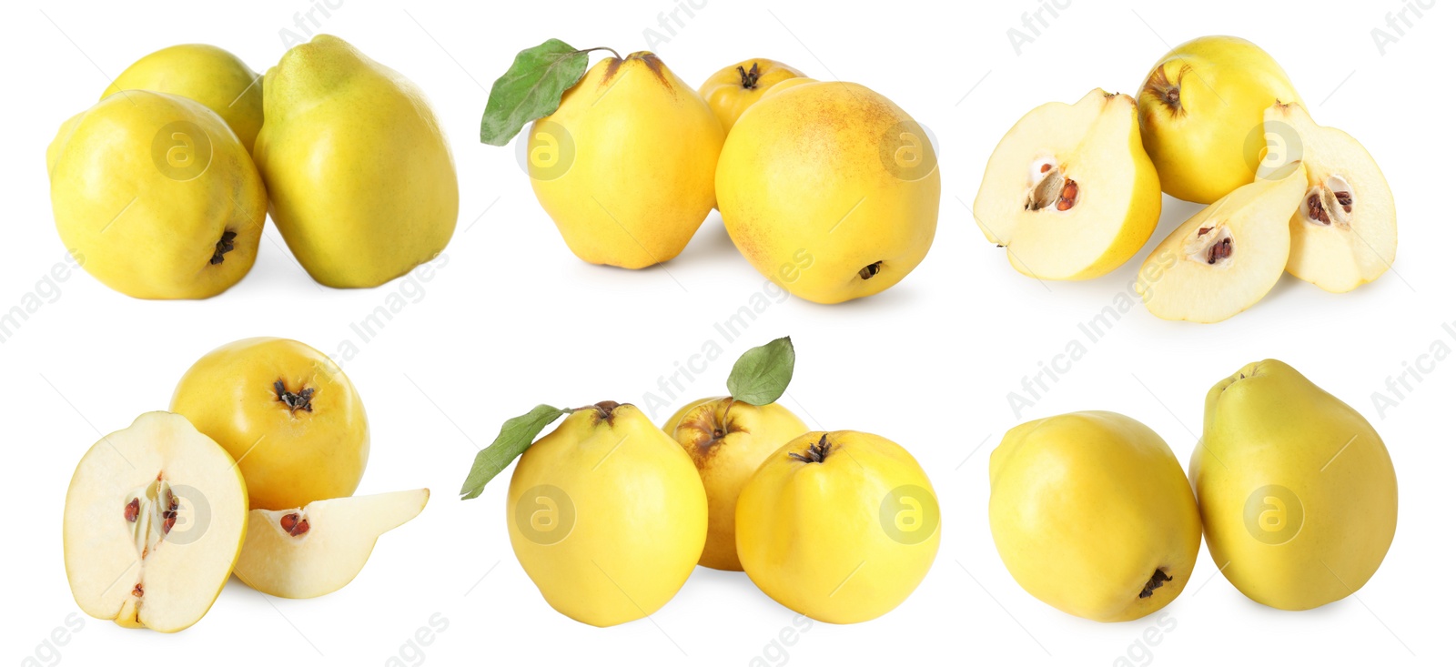 Image of Fresh ripe quince fruits isolated on white, set