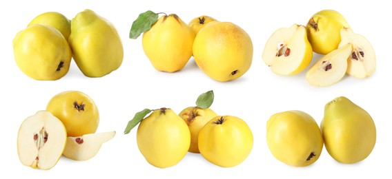 Image of Fresh ripe quince fruits isolated on white, set