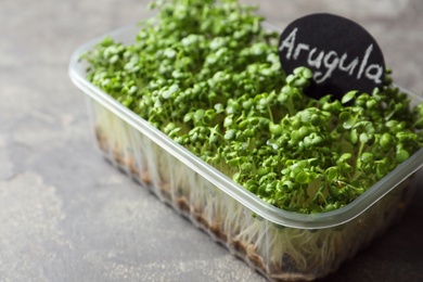 Photo of Sprouted arugula seeds in plastic container on grey table, closeup