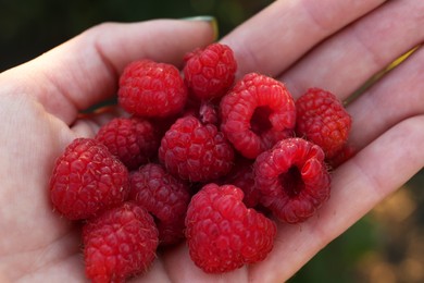 Photo of Woman holding pile of delicious ripe raspberries outdoors, above view