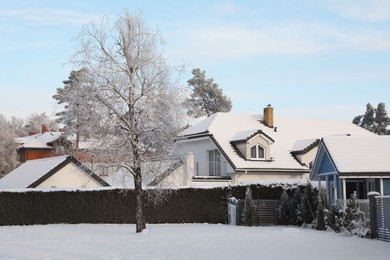 Photo of Winter landscape with beautiful houses, trees and bushes in morning