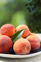 Photo of Many whole fresh ripe peaches in plate on white table against blurred background, closeup. Space for text