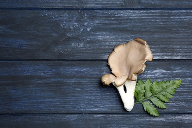 Photo of Delicious organic oyster mushrooms and leaves on wooden background, top view with space for text