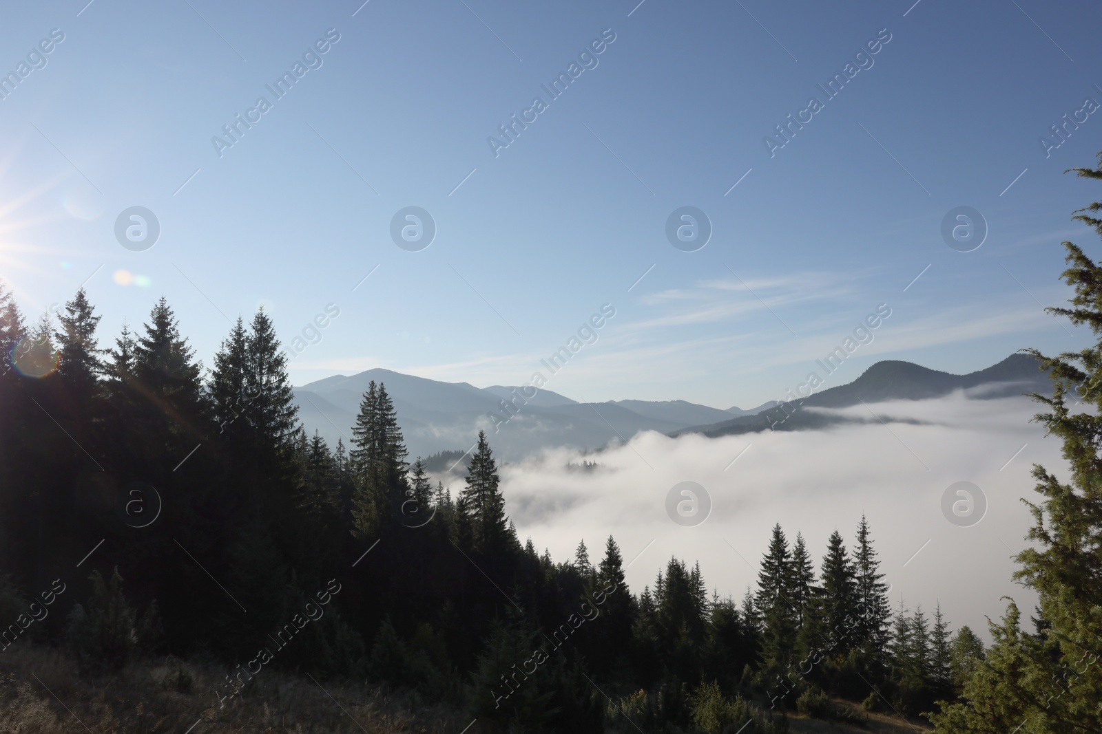 Photo of Picturesque view of fog in mountain forest