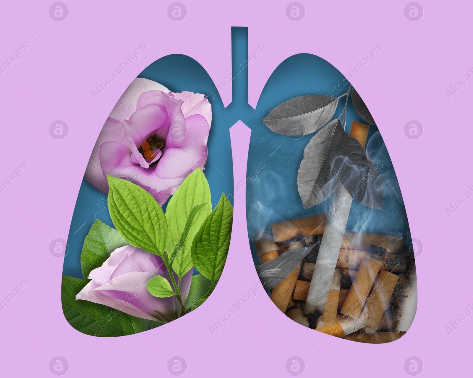 Illustration of  human lungs - one part with image of fresh flowers, another with cigarettes on pink background. Healthy and unhealthy lifestyle concept