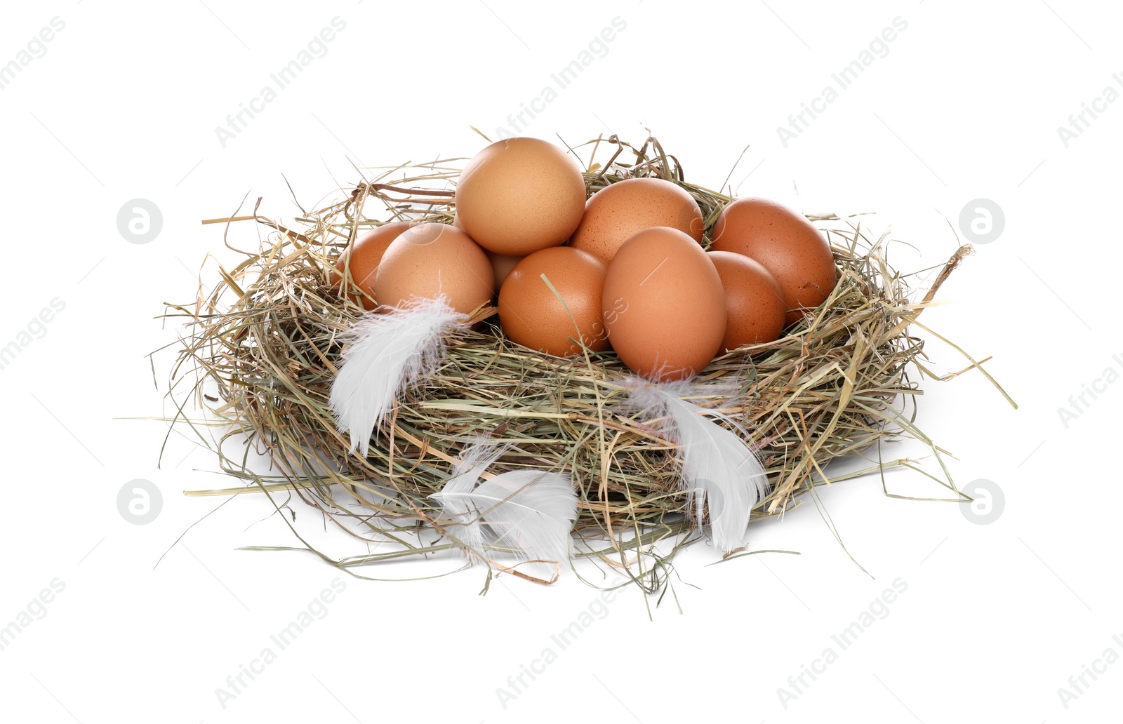 Photo of Fresh chicken eggs in nest isolated on white