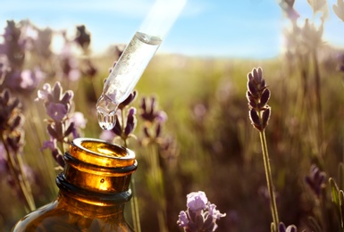 Photo of Dropper with lavender essential oil over bottle in blooming field, closeup. Space for text