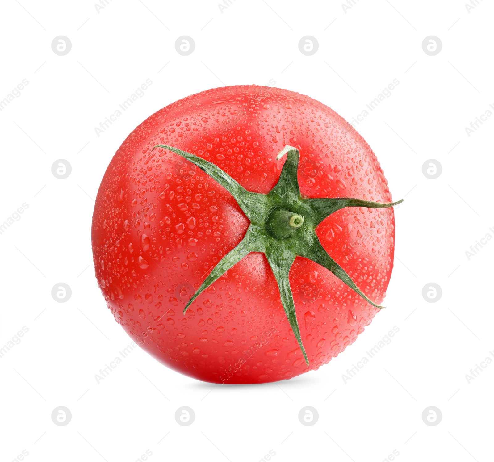 Photo of One red ripe tomato with water drops isolated on white